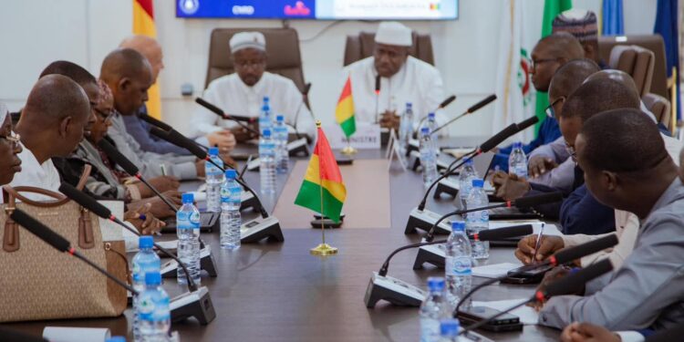 Une mission internationale de supervision du RGPH 4 reçue par le ministre Ismaël Nabé