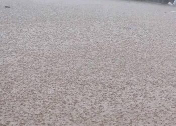 Pluies diluviennes à Conakry : plus de 4.000 personnes affectées par les inondations