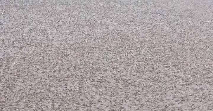 Pluies diluviennes à Conakry : plus de 4.000 personnes affectées par les inondations