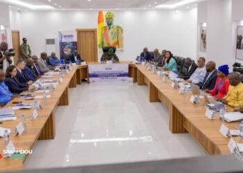 La MAMRI tient la 5è réunion du comité de pilotage sous la présidence du Général Amara Camara.