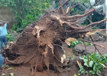 Grand Conakry : plusieurs dégats enregistrés à Kagbelen suite à des intempéries