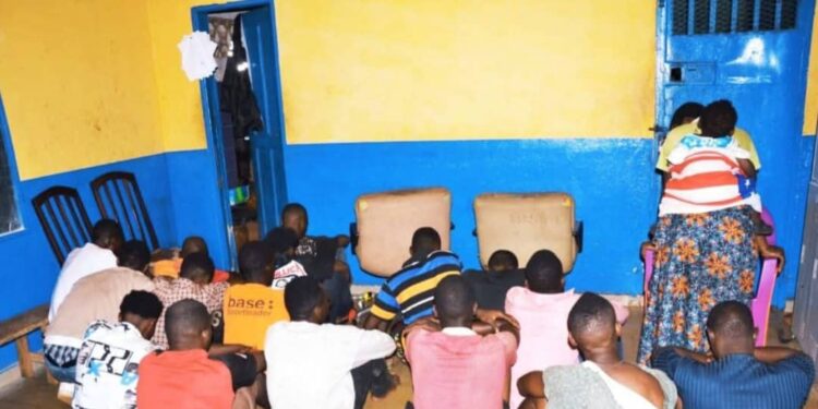 Dubréka: 17 interpellations, dont une nourrice et une importante quantité de chanvre indien saisie