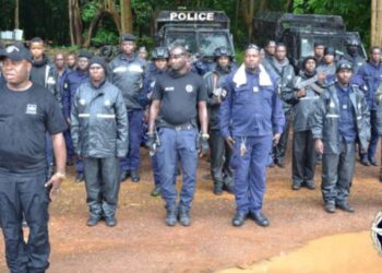 Opération « Ouragan » à Ratoma: 15 interpellations et une saisie majeure de stupéfiants et d&rsquo;armes