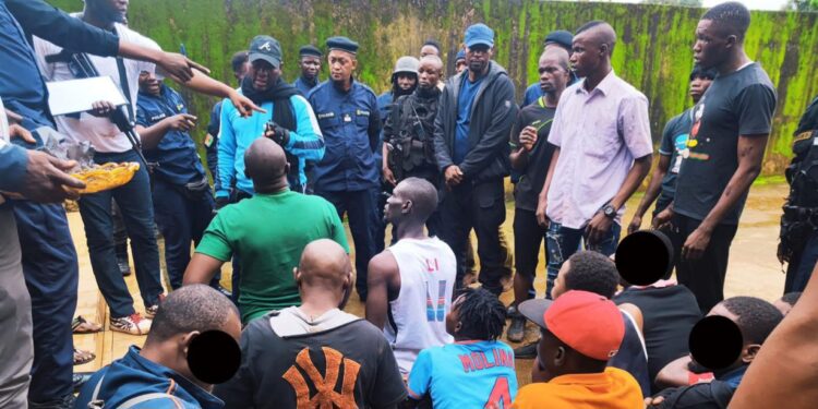 Opération “Ouragan” à Sonfonia : 10 interpellations et une quantité importante de stupéfiants saisie 