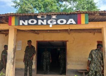 Gueckedou/Nongoa : un militaire introuvable après le chavirement d’une pirogue