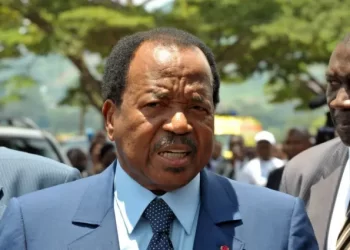 Présidentielle au Cameroun : des jeunes mobilisent 40 millions FCFA pour soutenir Paul Biya