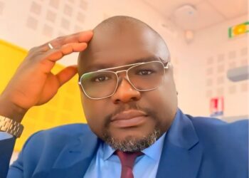 Gouvernance en Guinée : et si la multiplication des ministères traduisait une volonté d’efficacité sectorielle ? (Par Thierno Diawara)