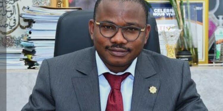 Nouvelle Constitution: un Sénat inédit où un tiers des membres sera nommé par le président