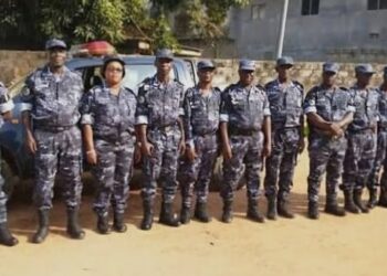 Grosse saisie à Touba (CI): 4,8 kg de cannabis, 17 paquets d’OCB et un présumé dealer interpellé