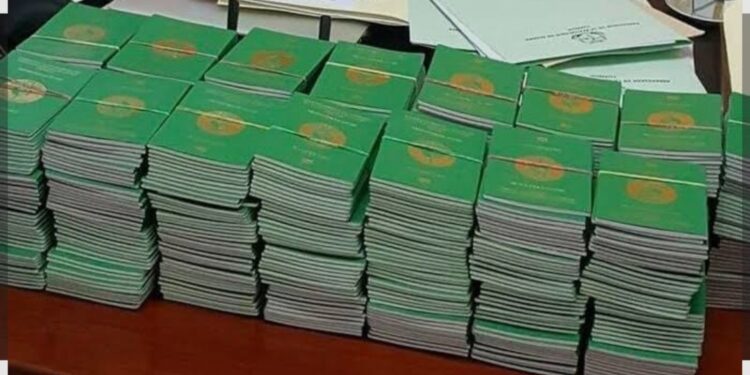 Passeport biométrique: l’État ouvre un guichet d’urgence pour les cas médicaux extrêmes