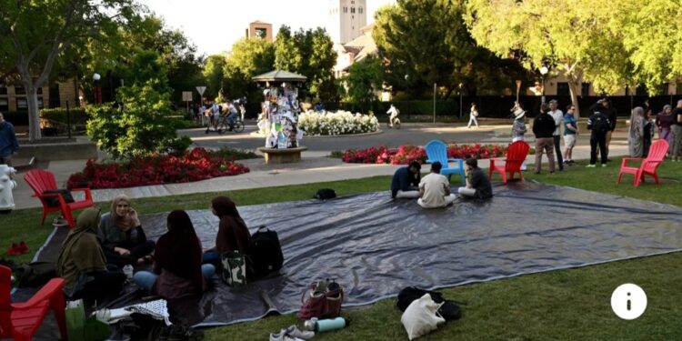 La grande déprime des diplômés : « Même ceux qui sortent de Stanford galèrent »
