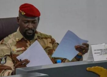 Mangroves: le Général Doumbouya entérine l&rsquo;accord de création d’un centre international