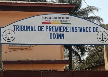 TPI de Dixinn : le verdict dans l&rsquo;affaire SARVEKSHA BSTP SAS contre Dr Fodé Oussou Fofana attendu le 20 octobre