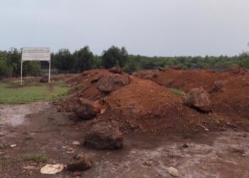 Alerte: reprise illégale des activités sur le site protégé de la mangrove à Kountia-Sud (Doyama)