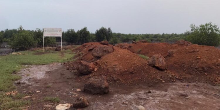 Alerte: reprise illégale des activités sur le site protégé de la mangrove à Kountia-Sud (Doyama)