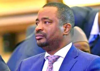 Le pacte des loups, le silence des agneaux (Tibou Kamara)