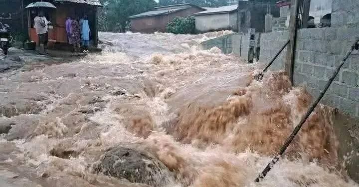 La question du jour : En plus de l’évacuation définitive des quartiers à risques d’inondations, faut-il reconstruire avec plus de hauteur les fameux ponts de Kobaya, Fossidet, Kiridi 1 et 2?