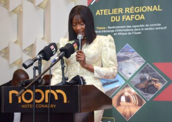 DGI : Fatoumata Foula Diallo appelle à une coopération renforcée face aux défis fiscaux du secteur extractif