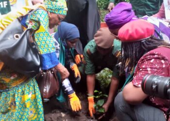 Lancement de la campagne « Une femme, un arbre » : le projet s’engage à planter 2,5 millions d’arbres d’ici 2029