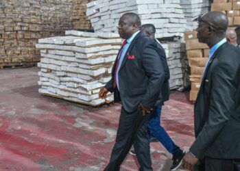 Pêche: le nouveau ministre Fassou Théa, entame sa tournée de prise de contact avec ses services