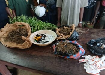 La question du jour : la lutte contre la drogue connait-ellle désormais, à votre avis, un tournant décisif à travers le déploiement ce mercredi d’une unité spécialisée dans la zone frontalière de Forécariah?