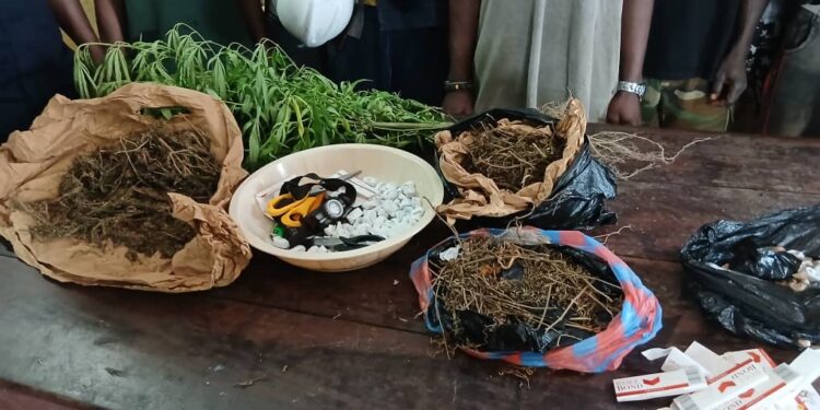 La question du jour : la lutte contre la drogue connait-ellle désormais, à votre avis, un tournant décisif à travers le déploiement ce mercredi d’une unité spécialisée dans la zone frontalière de Forécariah?