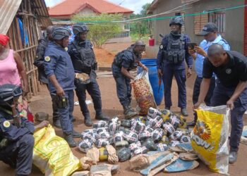 Lutte contre la drogue : les opérations « épervier » et « ouragan » continuent à traquer les trafiquants à Pamelap et Sonfonia 