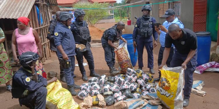 Lutte contre la drogue : les opérations « épervier » et « ouragan » continuent à traquer les trafiquants à Pamelap et Sonfonia 