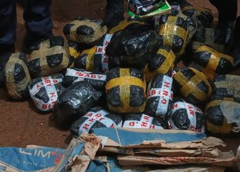 Lutte contre la drogue : les opérations « épervier » et « ouragan » continuent à traquer les trafiquants à Pamelap et Sonfonia 