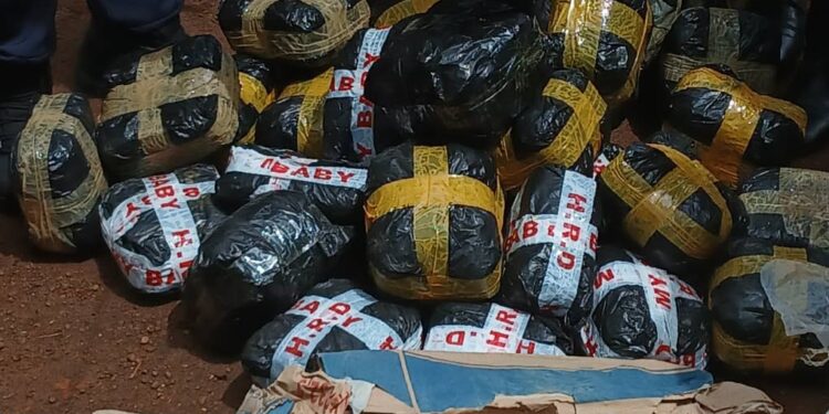 Lutte contre la drogue : les opérations « épervier » et « ouragan » continuent à traquer les trafiquants à Pamelap et Sonfonia 