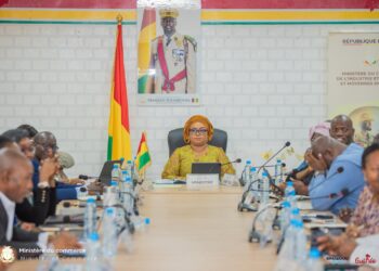 Guinée : vers une relance ciblée, après la fermeture de 1.724 unités industrielles
