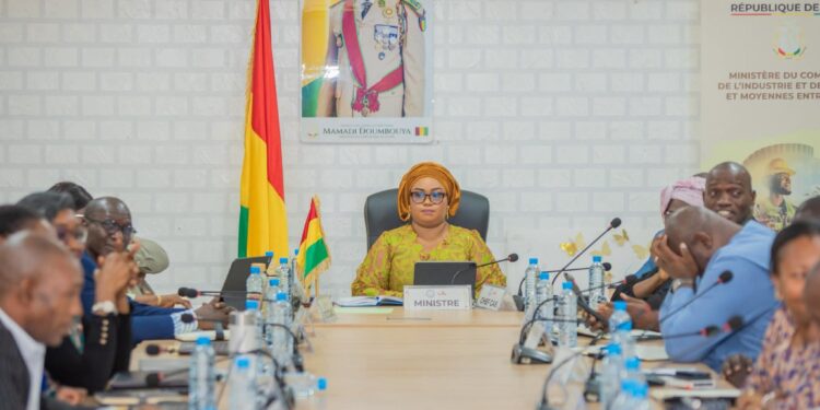 Guinée : vers une relance ciblée, après la fermeture de 1.724 unités industrielles