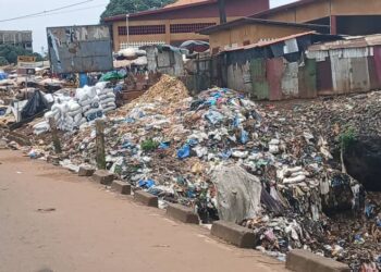 Insalubrité entre Manéah et Entag : les ordures envahissent la chaussée