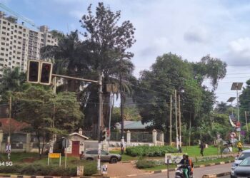 Carnet de route : Trois semaines en Ouganda, au cœur de la “perle de l’Afrique”