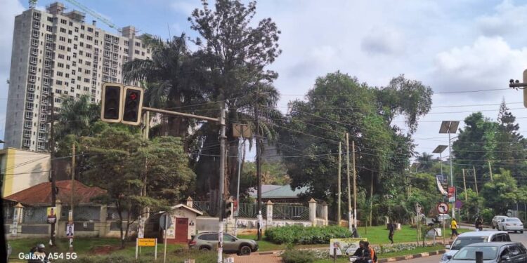 Carnet de route : Trois semaines en Ouganda, au cœur de la “perle de l’Afrique”