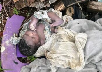 Conakry : découverte du corps d’un nourrisson à Lambandji Kinifi
