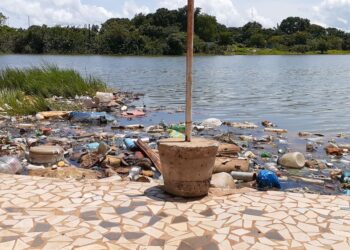 La Guinée et le PNUD tablent sur un plan d’aménagement et de gestion durable Lac de Sonfonia