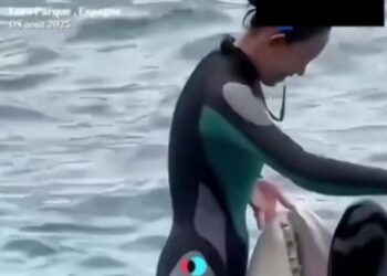 Cette dresseuse d&rsquo;orques a-t-elle vraiment été tuée par l&rsquo;animal qu&rsquo;elle entraîne?