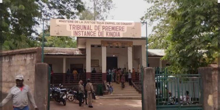 Trafic de drogue à Kindia: lourdes peines et relaxes au terme d’un procès très suivi