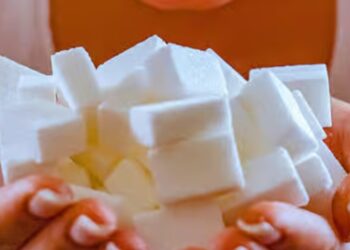 Arrêter le sucre, c’est comme un choc : votre cerveau n’aime pas ça