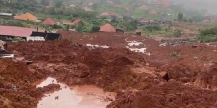 Glissement de terrain à Manéah : 9 morts, 9 survivants, le bilan provisoire s’alourdit
