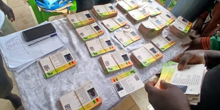 Dixinn : quelques cartes d’électeurs restent encore à retirer