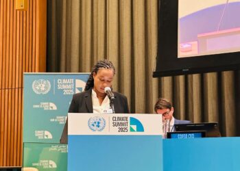 Nations Unies : la Guinée s&rsquo;engage pour le climat au Sommet de New York