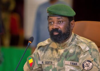 Conflit diplomatique : Le Mali porte plainte contre l’Algérie devant la cour internationale de justice