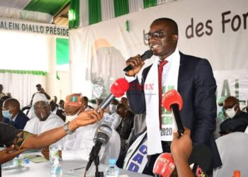 Politique : Diabaty Doré se retire de l’ANAD 