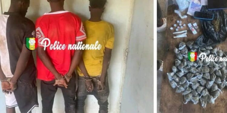 Kédougou: 3 Guinéens arrêtés à Bantaco, pour trafic de drogue (Seneweb)