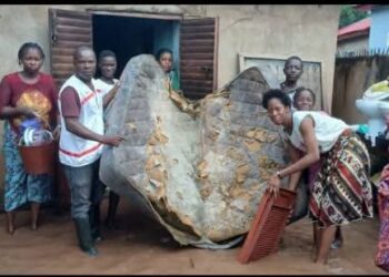 Kankan: 10 quartiers sinistrés après de fortes pluies (Croix-Rouge de Guinée)