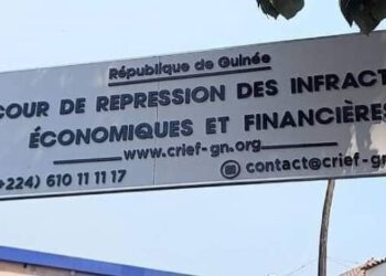 Affaire DGI : Le parquet spécial se pourvoit en cassation contre la mise en liberté de Mamadou Dian Diallo