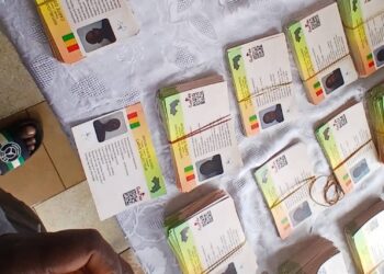 Référendum 2025 : lancement samedi de la remise des cartes d’électeurs à Banjul