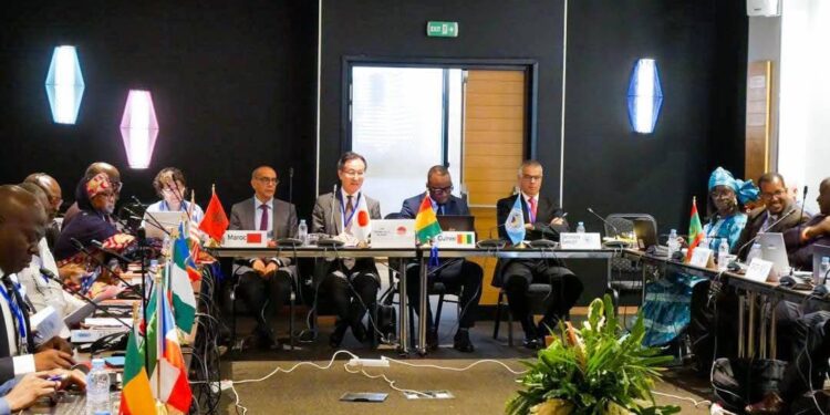 Vers la CoP20 de la CITES: la Guinée participe à l’élaboration de la position commune africaine à Casablanca